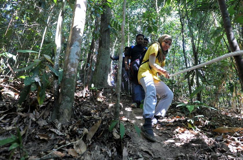 The 117,500-hectare Royal Belum Forest has 12 rangers and 13 assistants. ― Bernama pic