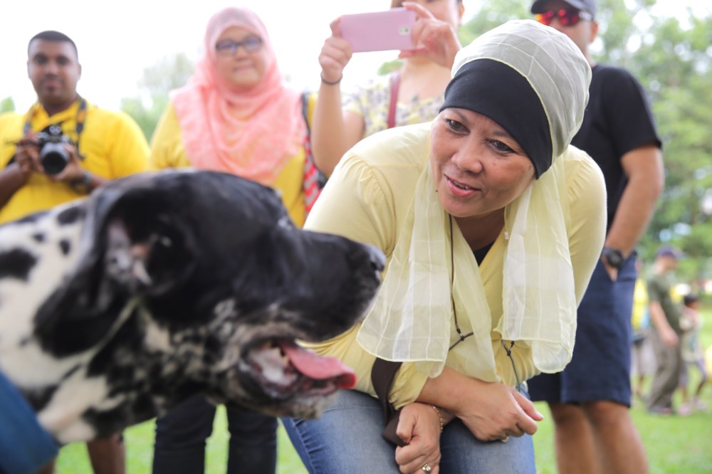 Muslims and non-Muslims animal lovers attend the u00e2u20acu02dcI wanna to touch a dogu00e2u20acu2122 event in Central Park, Bandar Utama, October 19, 2014. u00e2u20acu201d Picture by Choo Choy May 