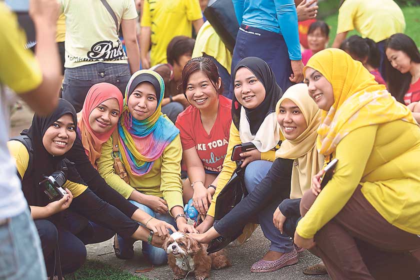 A group of Muslim women get acquainted with a dog at the ‘I want to touch a dog’ event at 1Utama’s central park on Sunday. — Picture by Choo Choy May