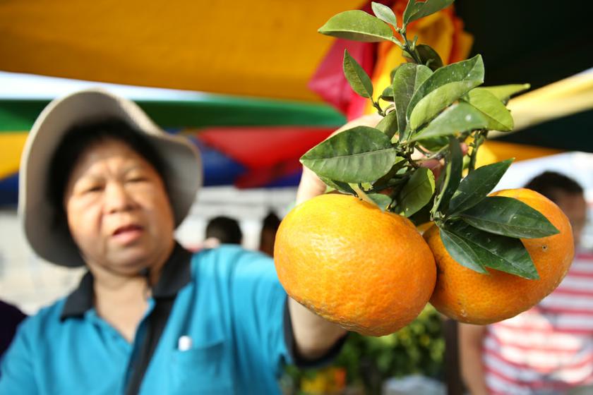 A fruit seller setting up her stall at the market Puchong Jaya Market, Kuala Lumpur, January 26, 2014.  u00e2u20acu201d Picture by Saw Siow Feng