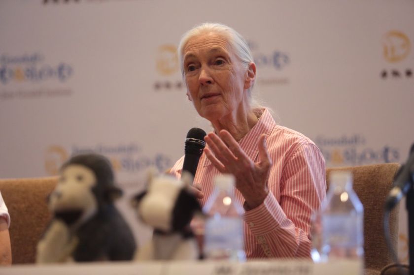 Jane Goodall says ‘disrespect for animals’ caused pandemic. ― file pic