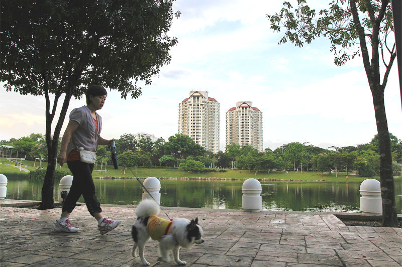 A woman walks her dog at Desa Park City. u00e2u20acu201d Picture by Yusof Mat Isa