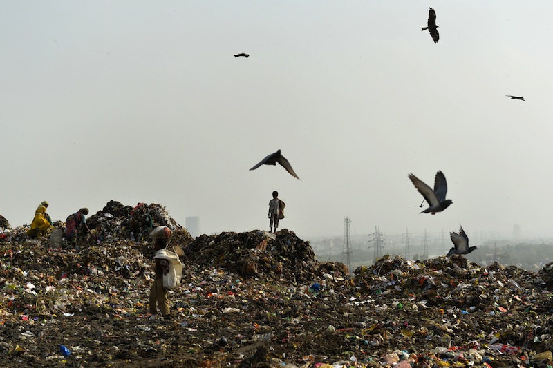 nIndian rag pickers sort through garbage for recyclable materials at the Ghazipur landfill site in the east of New Delhi on August 19, 2014. u00e2u20acu201d AFP pic