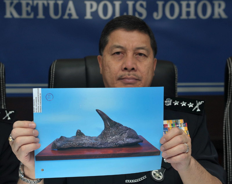 Johor police chief Datuk Wan Ahmad Najm al-Din Mohd holding a picture of the rhinoceros horn owned by the Royal Museum of Johor that had been stolen, on Dec 25, in Johor Baru. u00e2u20acu201d Bernama pic