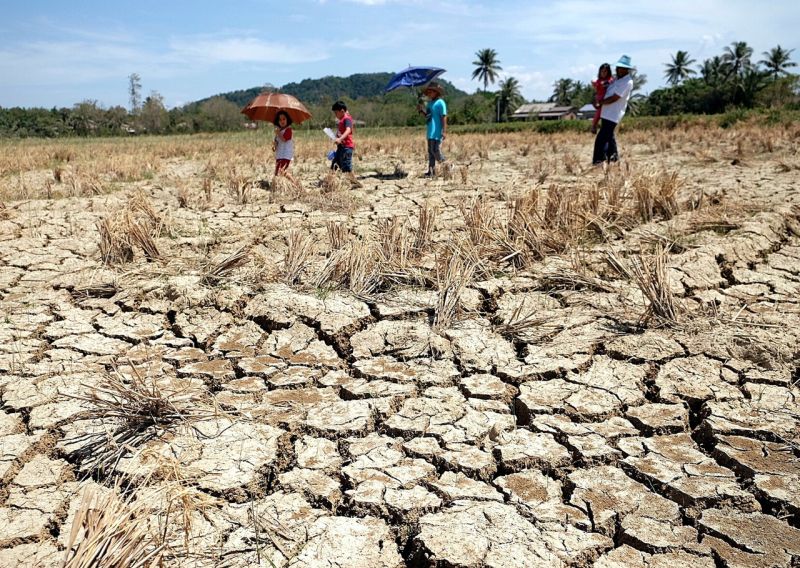 The paddy fields in Kampung Chuping, Perlis look dried and cracked due to the El Nino phenomenon which has caused a heatwave in the country, March 15, 2016. u00e2u20acu2022 Bernama pic