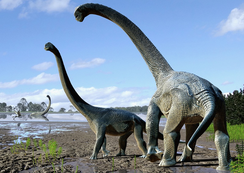 A handout photo released by Nature shows an artistu00e2u20acu2122s impression of life restoration of the Savannasaurus elliottorum based on the type specimen (u00e2u20acu0153Wadeu00e2u20acu009d) and comparisons with titanosaurs from around the world. u00e2u20acu201d AFP pic