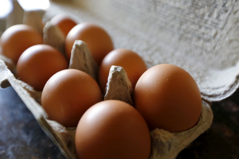 Brown eggs are shown in their carton in a home in Palm Springs, California August 17, 2015. u00e2u20acu201d Reuters pic
