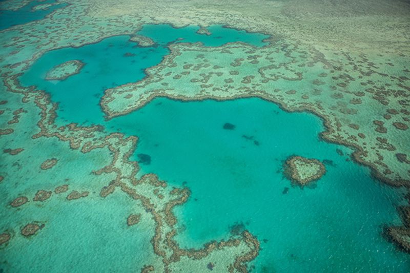 Take time for an aerial tour of the Great Barrier Reef for an opportunity to take pictures of the area's famous u00e2u20acu02dcHeart Reefu00e2u20acu2122. u00e2u20acu2022 AFP pic