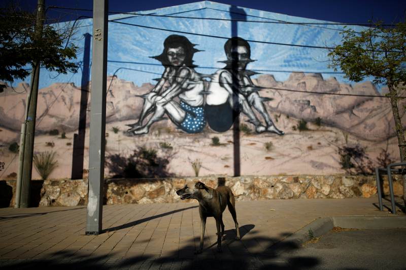 A dog stands in front of a wall painting by American-Israeli artist, who goes by the name, Zero Cents, during an art happening, called POW! WOW! Israel, June 6, 2017. u00e2u20acu201d Reuters pic