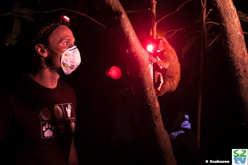 Aaron ‘Bertie’ Gekoski, finds himself face-to-face with a slow loris. — Picture courtesy of Scubazoo