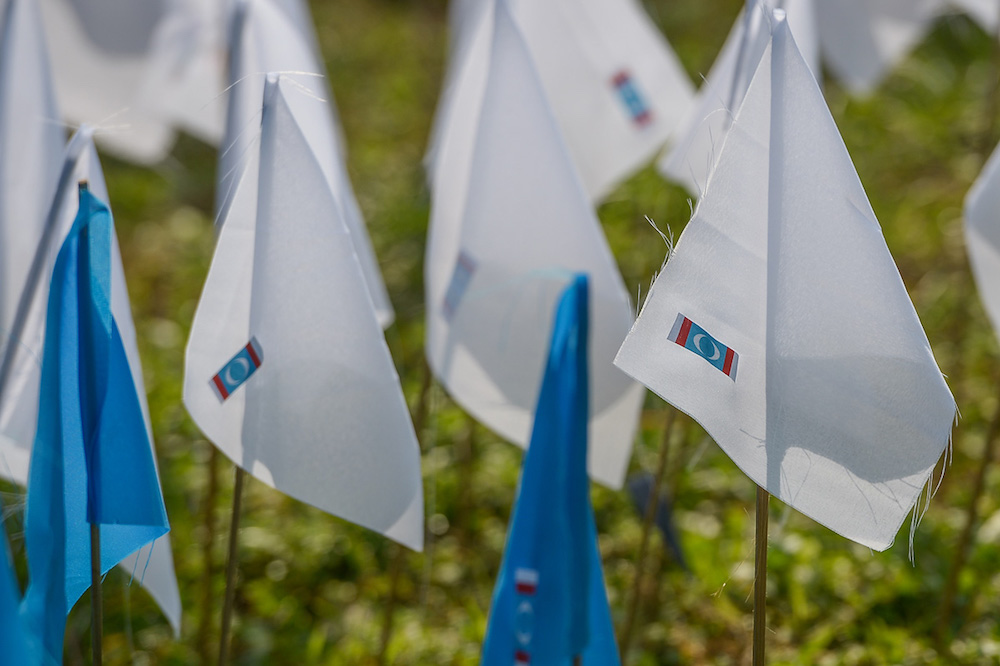 Stickers of the PKR logo are seen on the colourful mini flags around the Sierramas roundabout in Sungai Buloh May 6, 2018. u00e2u20acu201d Picture by Mukhriz Hazim