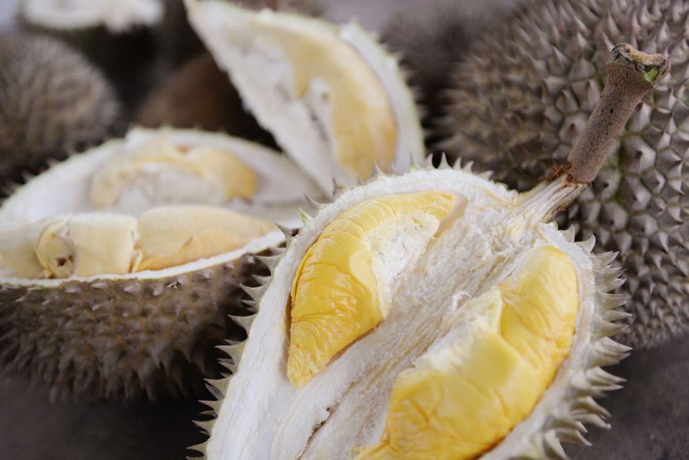 Harga durian yang mahal selain kualiti tidak seberapa menyebabkan terdapat pengguna yang mengeluh rasa tertipu oleh peniaga. ― Foto oleh KE Ooi