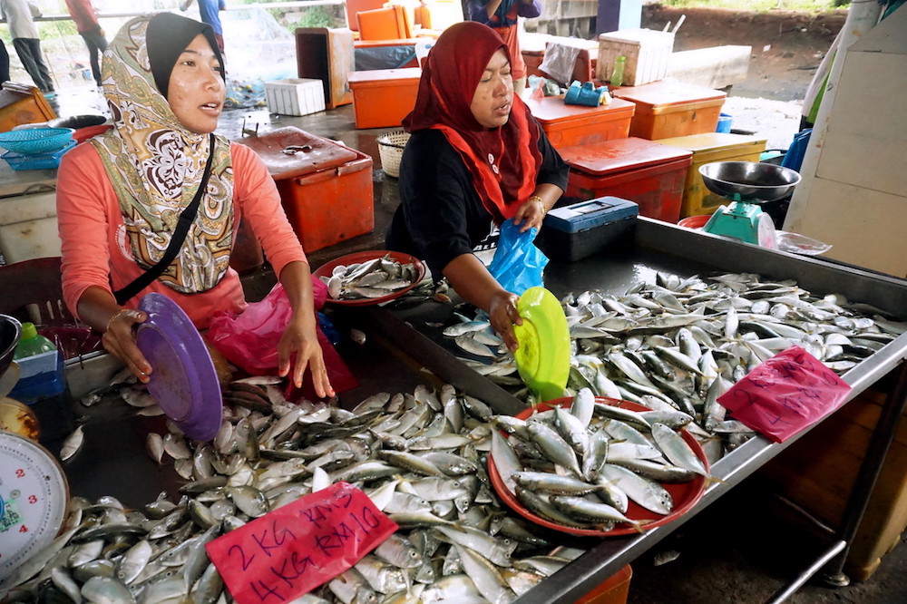 The bumper supply of mackerel, locally known as u00e2u20acu02dcikan temenungu00e2u20acu2122, has seen the prices drop to as low as RM2.50 per kilogramme. u00e2u20acu201d Bernama picture