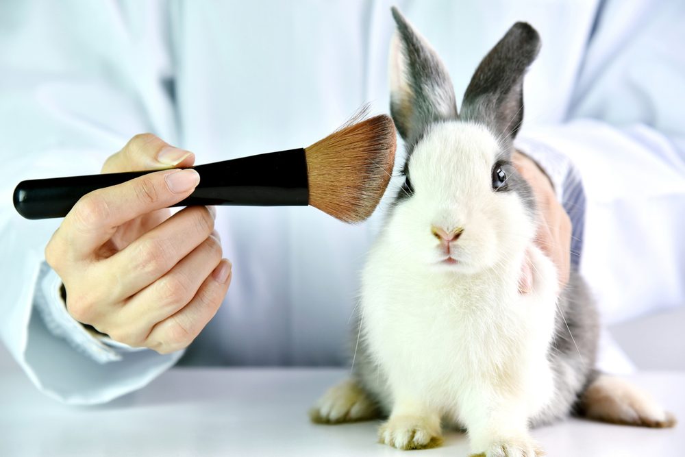 The beauty world is at a crossroads regarding animal testing. u00e2u20acu201d Artfully79/IStock.com pic via AFP