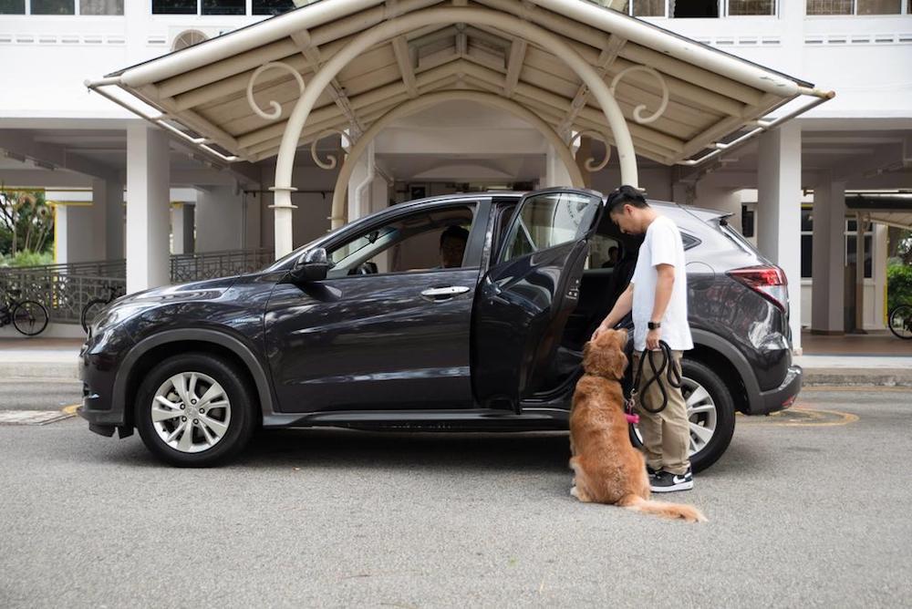 The GrabPet Beta service allows customers to book on-demand transportation services to ferry their dogs, cats and other animal companions. u00e2u20acu201d Handout via TODAY