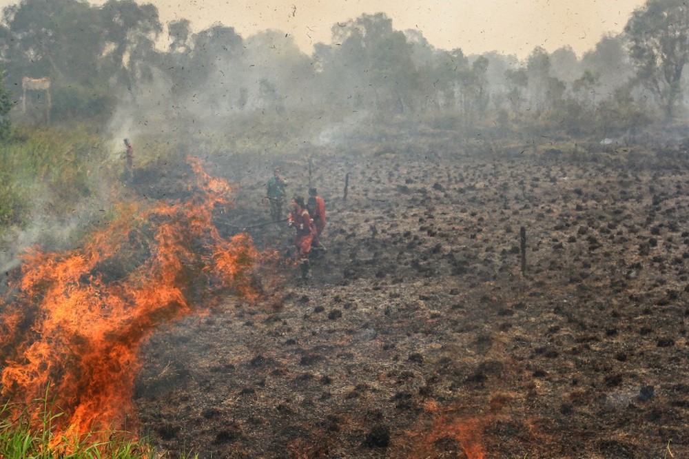 Indonesian firefighters battle a blaze at a peatland forest in Ogan Ilir, South Sumatra September 20, 2019. u00e2u20acu201d AFP pic