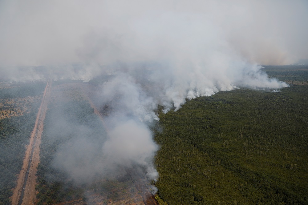 Smoke covers trees during a forest fire next to a palm plantation in Palangka Raya, Central Kalimantan province, Indonesia September 14, 2019. u00e2u20acu201d Reuters pic
