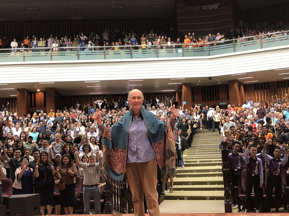Famous primatologist Jane Goodall posing in front of the packed hall in USM after delivering her talk. u00e2u20acu201d Picture by Opalyn Mok
