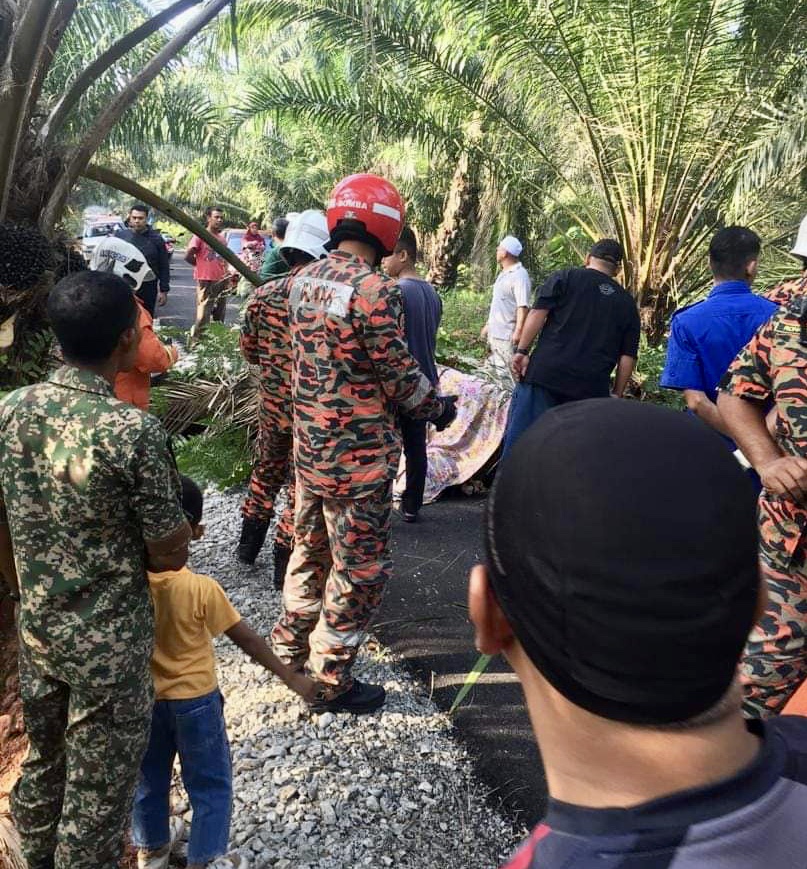  Firemen retrieving the remains of the victims who died after an oil palm tree fell on their motorcycle along Lorong Haji Ayub in Batu Pahat February 7, 2020. u00e2u20acu201d Picture courtesy of the Johor Fire and Rescue Department
