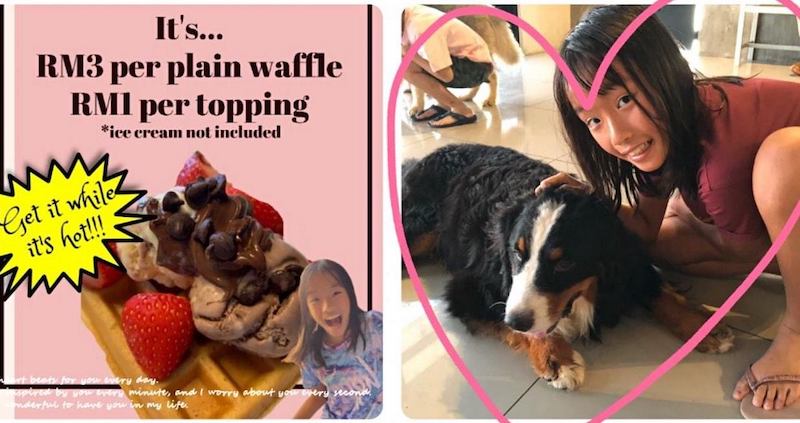 Caitlin Tang was inspired to start her waffle-making project after reading about the struggles faced by animal shelters due to the Covid-19 pandemic. — Picture from Facebook/IAPWAPenang