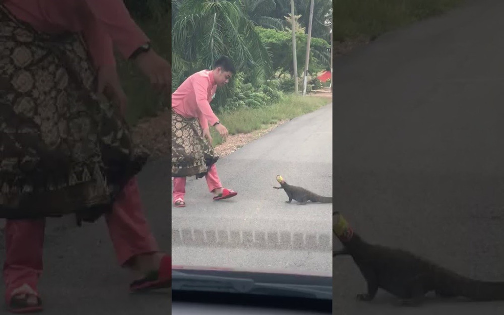 A man clad in Baju Melayu for the Hari Raya Aidilfitri celebrations helped to free a monitor lizard whose head which was stuck in a sardine can. u00e2u20acu201d Picture via Twitter/Bernama