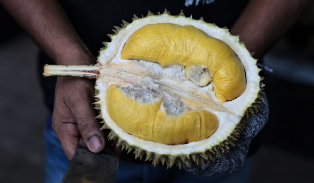 Enjoying to cut open durians all day, almost every day is among the job requirements. u00e2u20acu2022 Picture by Ahmad Zamzahuri