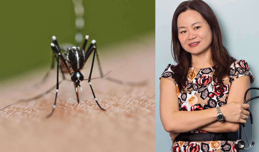 Dr Lee also told Malaysians to look out for symptoms of severe dengue as severe complications are common in those who experience a second bout of the illness. — Pictures via AFP and IMU