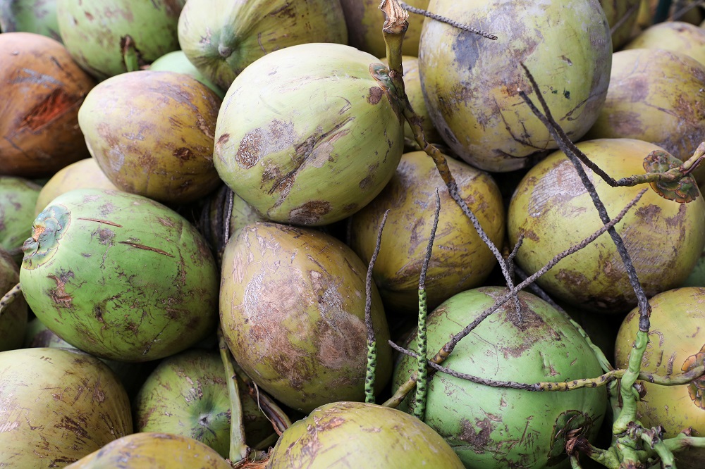 Malaysia collectively consumed coconuts weighing a total of 790,708,000kg or 790 million kg or 790,708 tonnes in 2020. — Reuters pic