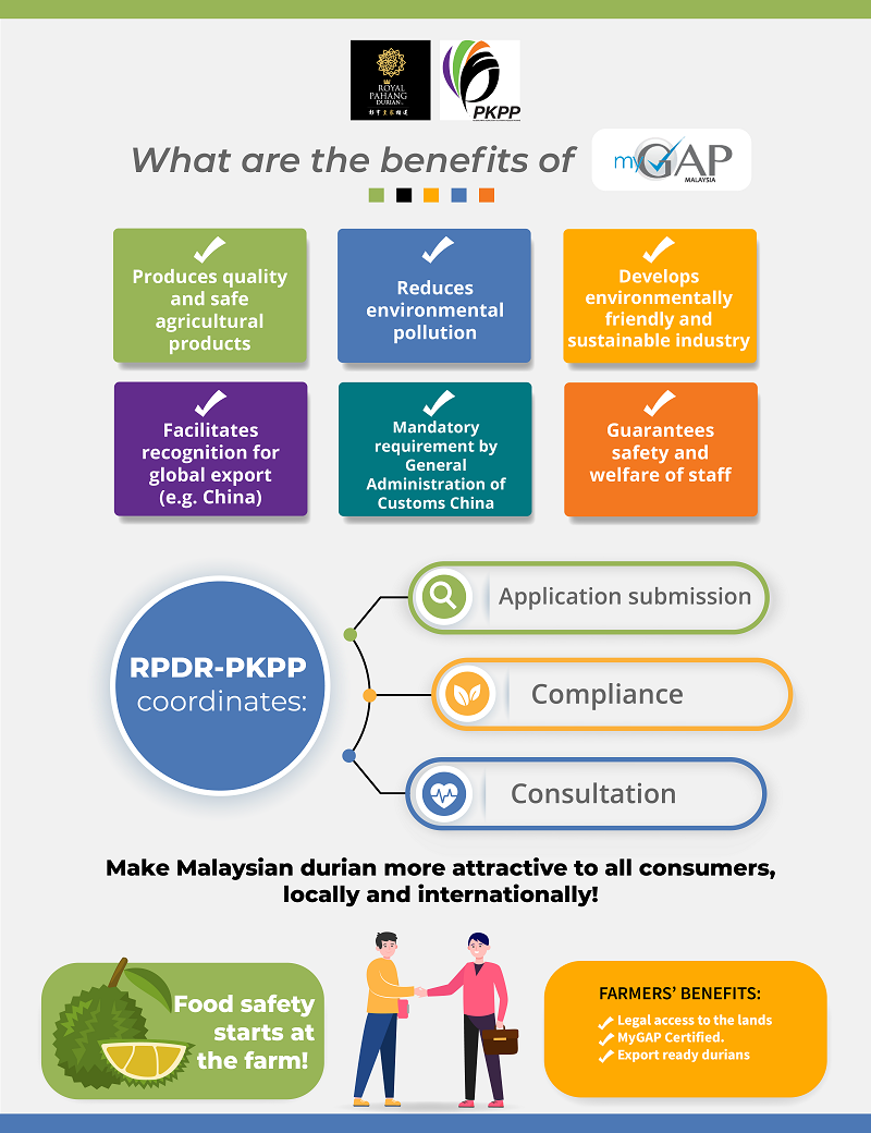 Infographic explanation of MyGAP certification. ― Picture courtesy of RPDR-PKPP