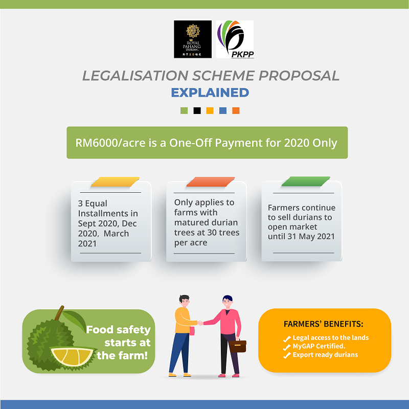 Infographic explanation of the legalisation scheme. ― Picture courtesy of RPDR-PKPP