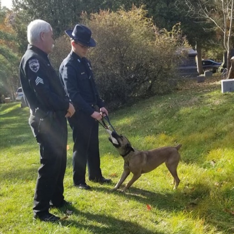 Owego Police Department - takes in strays as its canine member. u00e2u20acu201dPhoto via Facebook/ Owego Police Department