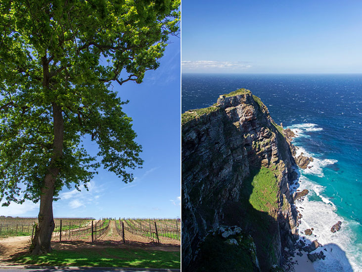 Cape Town – from Constantia Valley’s vineyards to the Cape of Good Hope.