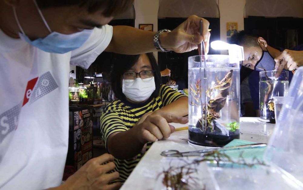 Little Ong (centre) runs jarrarium-making workshops. His classes are fully booked for the next month-and-a-half. — TODAY pic