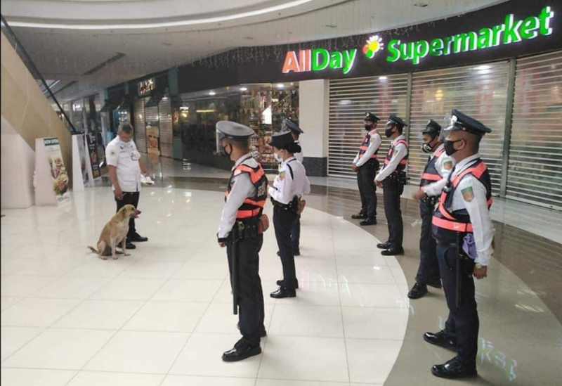 From stray to mall security team, Dogdog has come a long way. u00e2u20acu201d Picture from Facebook/ONE CAVITEn