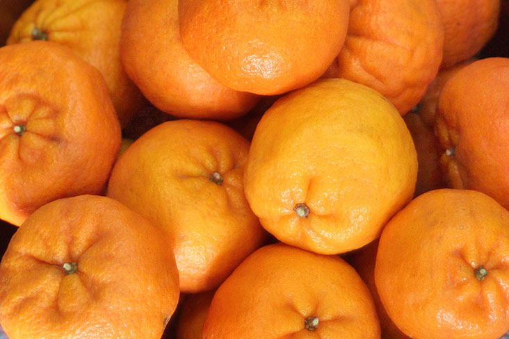 Mandarin oranges are a ubiquitous part of every Chinese New Year.