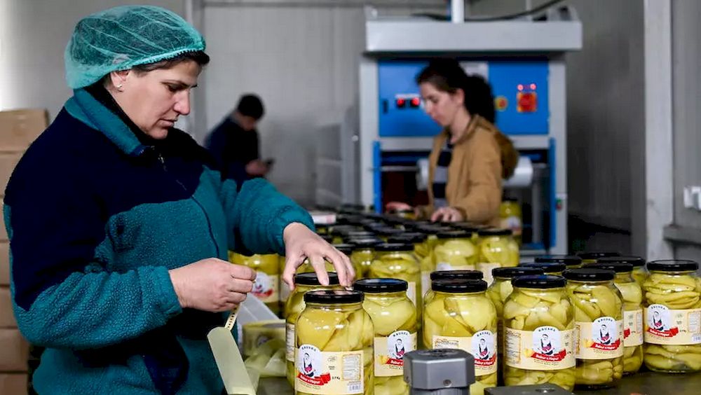 Pickling and processing vegetables at the Koperativa Krusha helps keep dozens of Kosovar widows employed. u00e2u20acu201d AFP pic