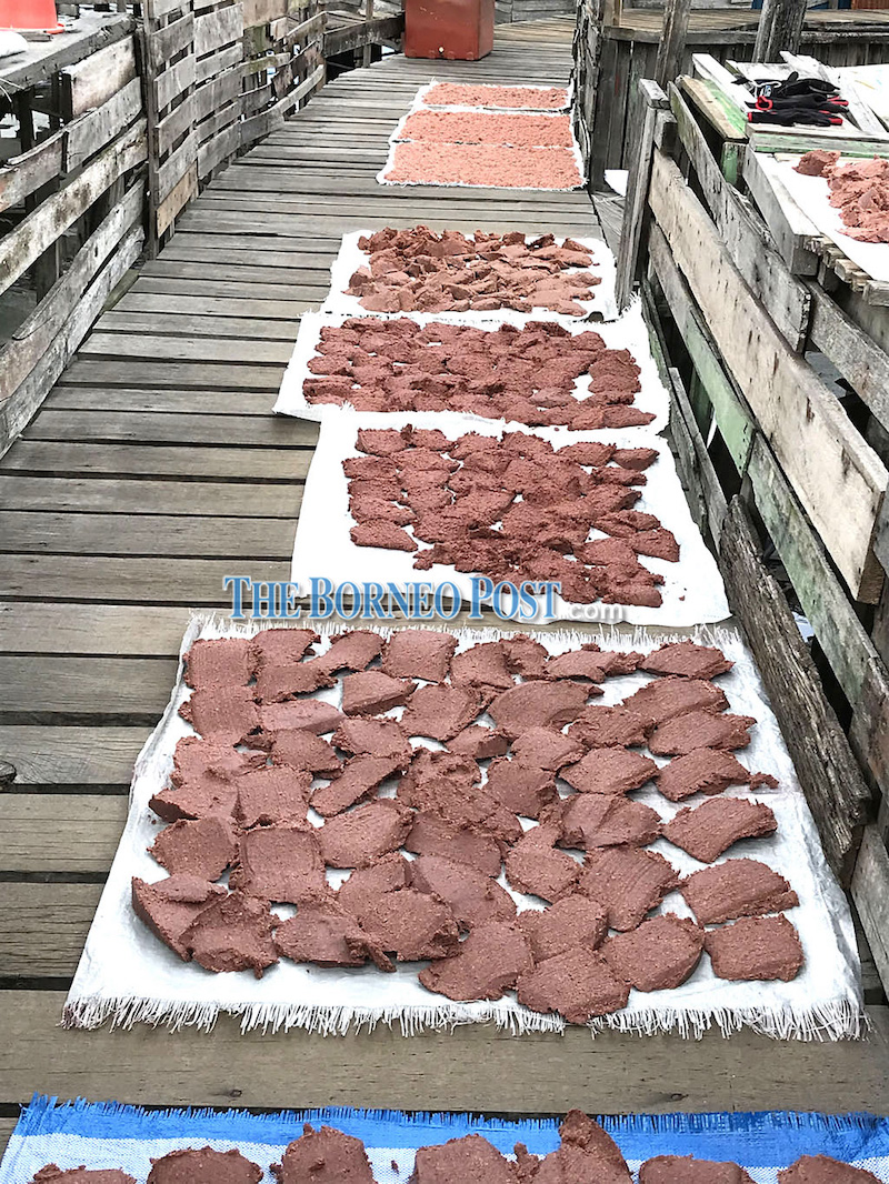 Lata’s belacan patties at various stages of processing dry in the sun. — Borneo Post Online pic
