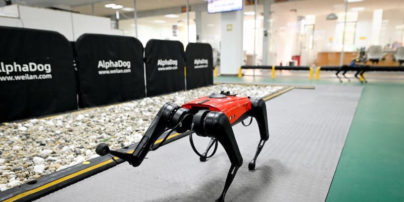 An AlphaDog quadruped robot in a workshop at the Weilan Intelligent Technology Corporation in Nanjing, China's Jiangsu province. u00e2u20acu201d AFP pic