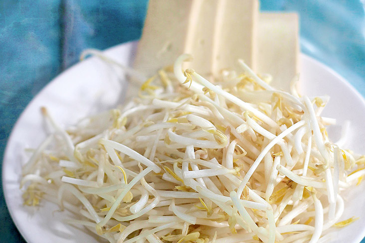 Slices of firm tofu and fresh bean sprouts add textural contrast.