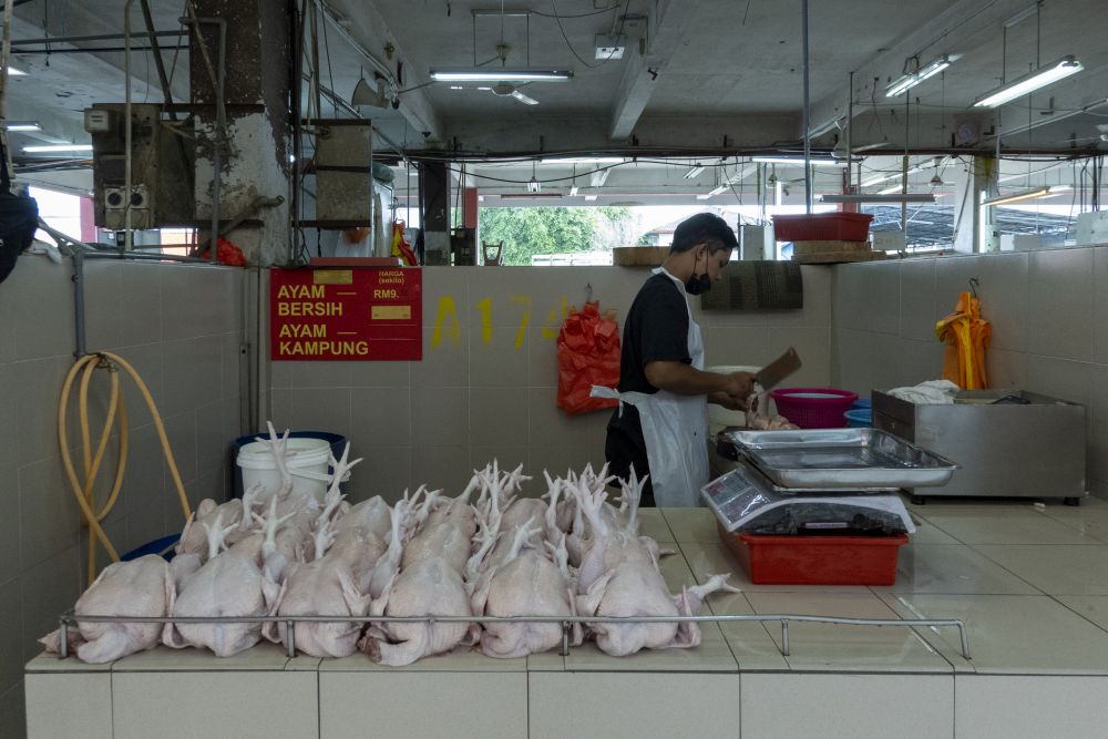 A chicken trader is pictured at the Petaling Jaya wet market April 20, 2021. — Picture by MIera Zulyana