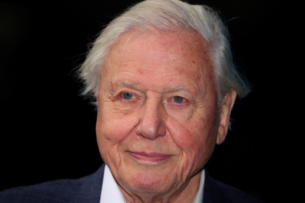 Broadcaster and film maker David Attenborough attends the premiere of Blue Planet II at the British Film Institute in London, Britain September 27, 2017. u00e2u20acu201d Reuters pic
