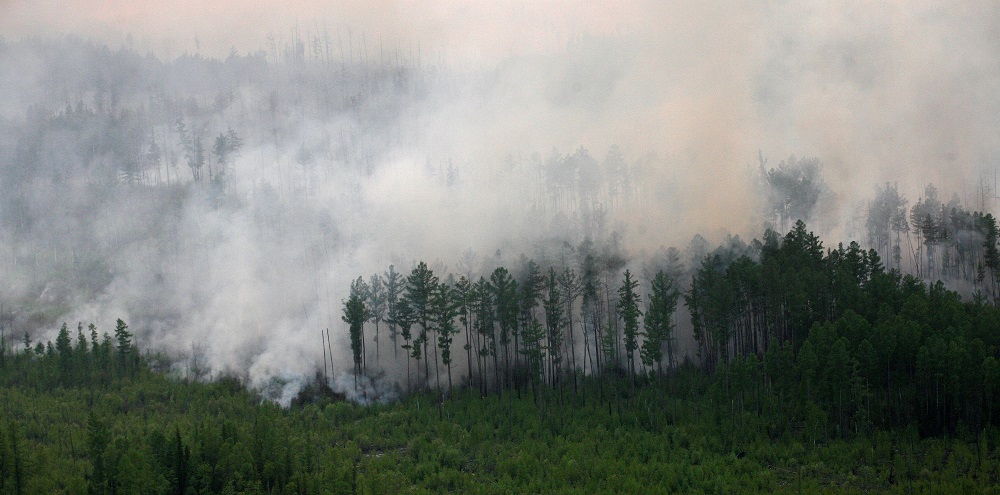 An aerial view shows the Taiga wood burning near the village of Boguchany, about 560 km northeast of Russia's Siberian city of Krasnoyarsk June 2, 2011. u00e2u20acu201d Reuters pic