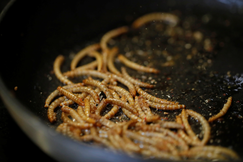 Fried mealworms cooked by French chef Laurent Veyet are seen in his restaurant Inoveat serving insect-based food in Paris May 12, 2021. — Reuters pic