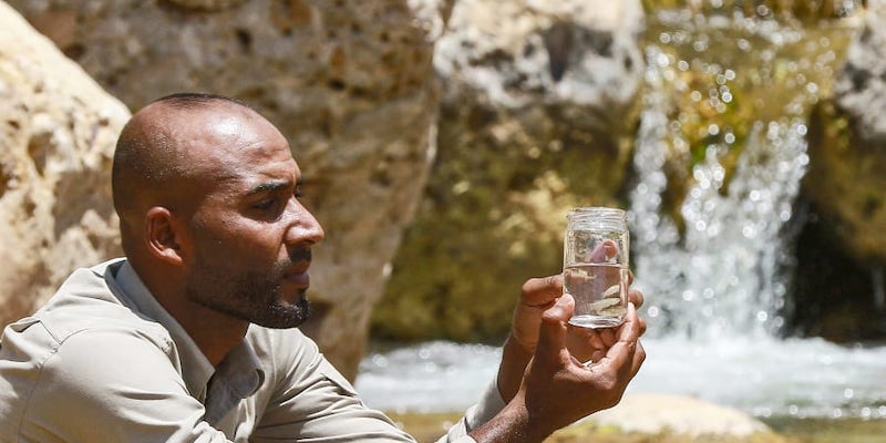 Jordan is racing against time to save a tiny rare fish from extinction as falling water levels partly triggered by global warming threaten to dry up its last habitat. u00e2u20acu201d AFP pic