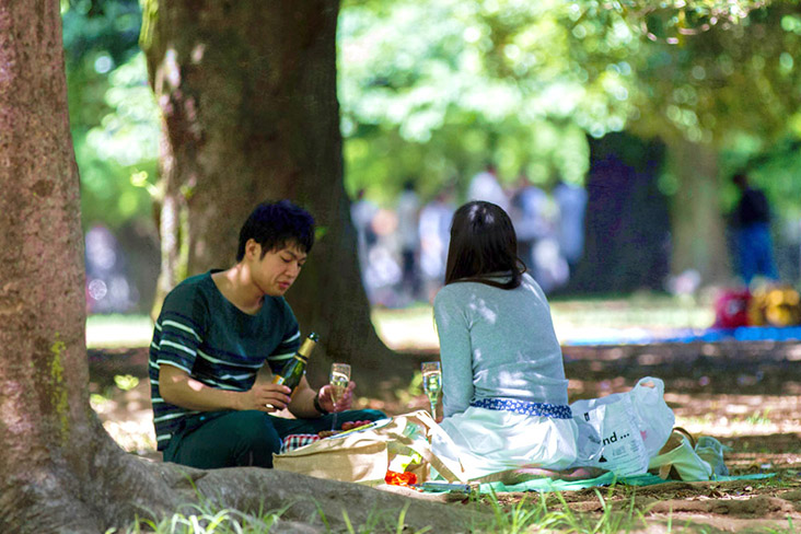 Picnics in the shade with bentos from home or the nearest 'konbini' (convenience store).