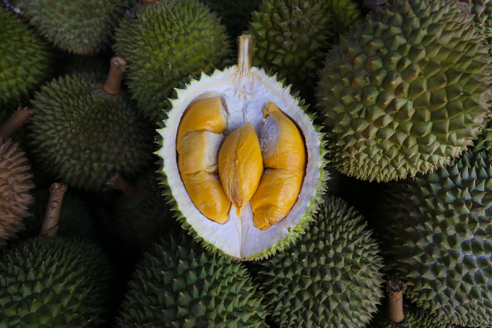 Durian fruits are displayed for sale at a roadside shop at Taman Medan in Petaling Jaya, June 24, 2021. — Picture by Yusof Mat Isa