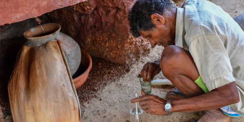 Distiller Anton Moir measures the alcohol content from the first drops of the traditional liquor feni from an earthen pot, at the Cazulo farm in Cansaulim. u00e2u20acu201d AFP pic