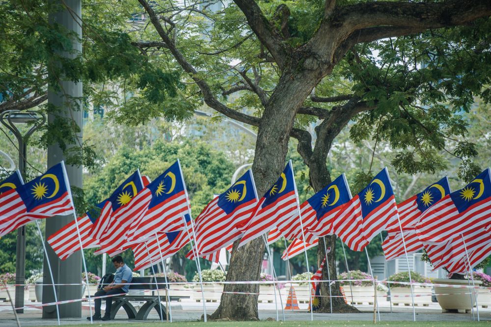 Malaysian flags are pictured in Putrajaya August 12, 2021. — Picture by Shafwan Zaidon