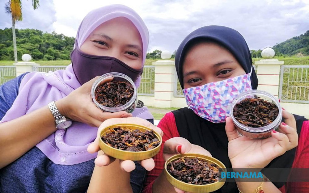 Sisters, Emi Zuhaida and Emi Zuhaika Husain started a business supplying deep-fried grasshopper to customers in Kelantan, but Johor, Selangor, Negri Sembilan and Pahang. u00e2u20acu201d Picture via Twitter/Bernama