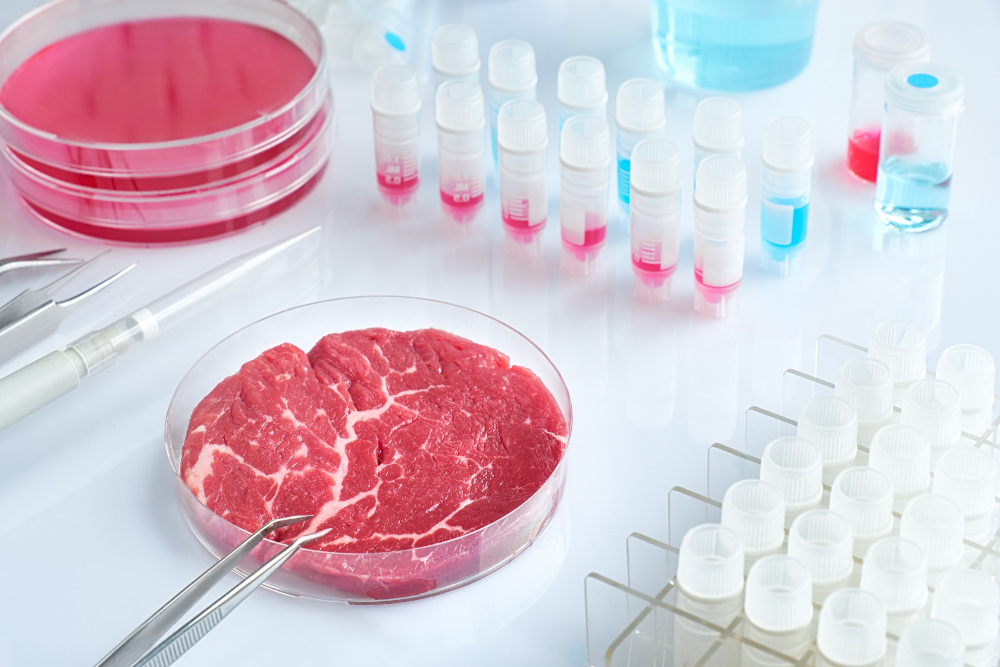 Rapidly shifting from conventional meat production to cultured meat production on a large scale seems unlikely. u00e2u20acu201d anyaivanova/Getty Images pic via ETX Studio